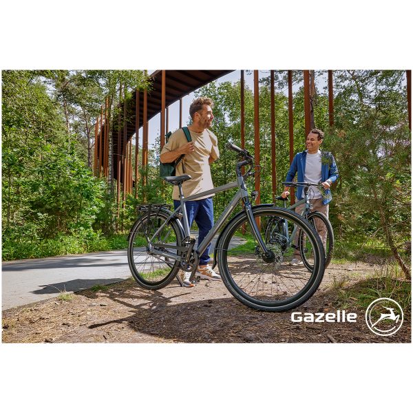 Gazelle Chamonix S11 Cloud Grey Mat Highstep